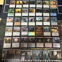 黒緑 ラタスワイン翁 100枚 EDH 統率者戦 ブラケット２ 構築済みデッキ 統率者デッキ Foil レア ゴルガリ 汎用 大量 MTG まとめ nvq25 12 サムネイル 4