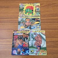 トレカ カード まとめ ストリートファイター ブランカ ガイル サガット バイソン 22 サムネイル 1