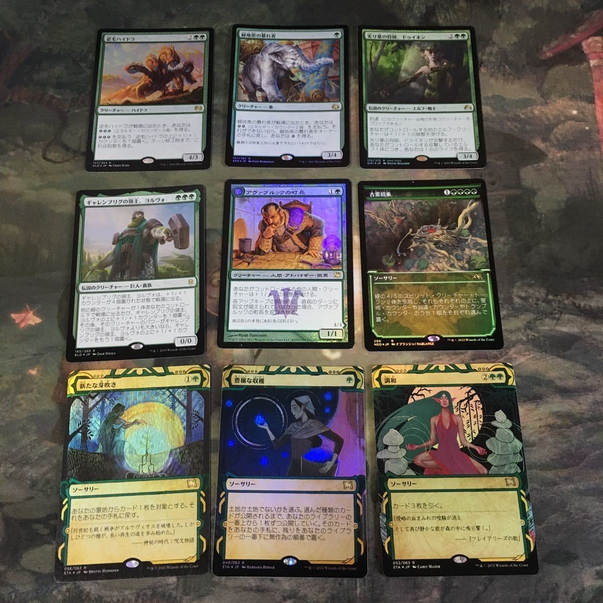 緑 優良 Foil 直近高騰カード 被り無しコレクション 9枚 MTG まとめ 新たな芽吹き エッチング ギャレンブリグの領主、ヨルヴォ
