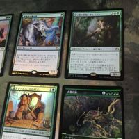 緑 優良 Foil 直近高騰カード 被り無しコレクション 9枚 MTG まとめ 新たな芽吹き エッチング ギャレンブリグの領主、ヨルヴォ サムネイル 3