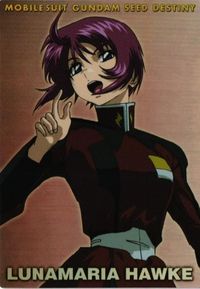 Gundam SEED Destiny Carddass Masters HR Card Lot