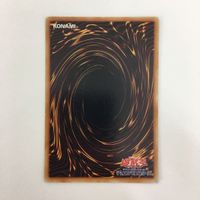 遊戯王 スーパーレア ダークネフティス 魔界劇団ワイルドホープ カード まとめ サムネイル 8