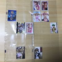 アリスコレクション アリス ランス カード まとめ 闘神都市 エロゲ ファニーBee 学園KING 乙女戦記 戦巫女 z981 0420 o14-1 サムネイル 4