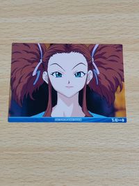 Hunter x Hunter Carddass Masters Anime Card Rare