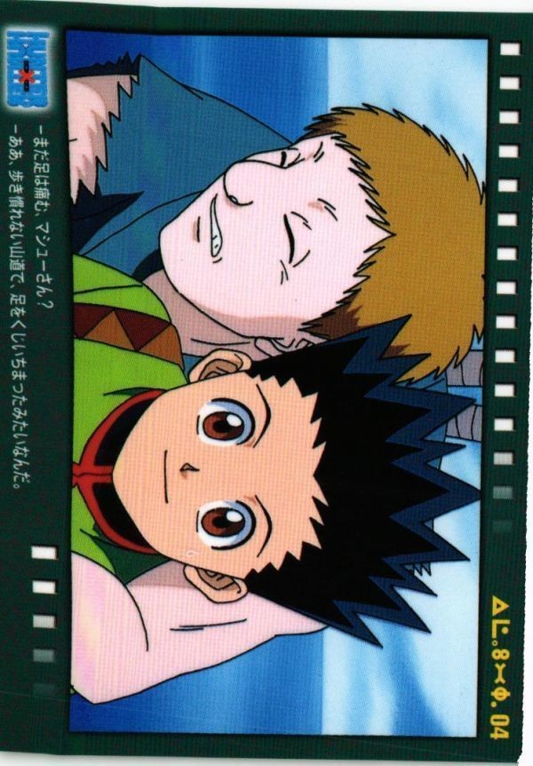 Hunter x Hunter Gon Carddass Masters Card Japanese