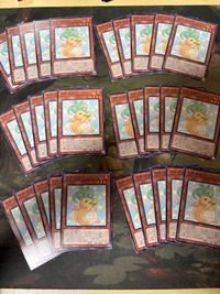 Yu-Gi-Oh Dora Dora 30 Cards Normal Lot INFO-JP028