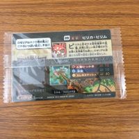 カード トレカ まとめ ガオロード 未開封 ライメリー ピリカ ピリム スケルクロウ マニタリーニ ゴレムナイト エンパンダー 45 サムネイル 8