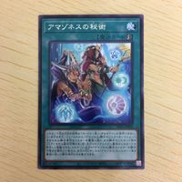 遊戯王 字レア カード トレーディングカード アマゾネスの秘術 まとめ サムネイル 5