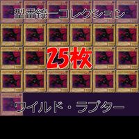 ワイルド・ラプター 25枚 型番統一 コレクション ノーマル 遊戯王 まとめ 2期 初期