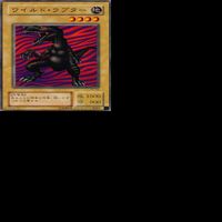 ワイルド・ラプター 25枚 型番統一 コレクション ノーマル 遊戯王 まとめ 2期 初期 サムネイル 8