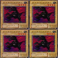 ワイルド・ラプター 25枚 型番統一 コレクション ノーマル 遊戯王 まとめ 2期 初期 サムネイル 7