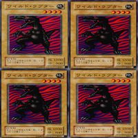ワイルド・ラプター 25枚 型番統一 コレクション ノーマル 遊戯王 まとめ 2期 初期 サムネイル 2