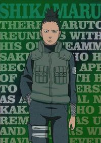 カード NARUTO ナルト 疾風伝 エッチングカード 奈良シカマル IL.004 キラ サムネイル 1