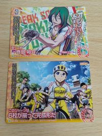 週刊少年チャンピオン限定 特製PRカード 登り一筋 巻島 裕介 弱虫ペダルTCG/PR/イベント/弱虫ペダルTCG トレペダ アニメイト PRカード配布キャンペーン B01-P10[PR]：このジャージは6枚が揃って完成形だ