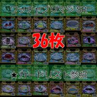 ワッチャプリマジ プリマジ まとめ 全て SR スーパーレア ★カードリスト参照 美少女 着せ替え ゲーム bp824 サムネイル 1