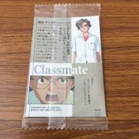 カード トレカ まとめ 新世紀 エヴァンゲリオン エヴァ 未開封 碇 シンジ 葛城 ミサト 相田 ケンスケ 洞木 ヒカリ 32 サムネイル 8