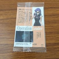 カード トレカ まとめ 新世紀 エヴァンゲリオン エヴァ 未開封 碇 シンジ 葛城 ミサト 相田 ケンスケ 洞木 ヒカリ 32 サムネイル 6