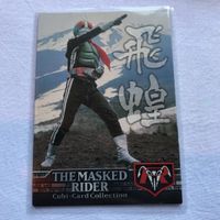 交渉歓迎 cas2 お薦め 仮面ライダー カード 飛蝗 非売品 仮面ライダー新1号 HH 001