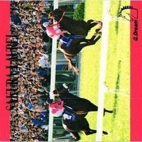 Gドリーム カードコレクション 競馬 サクラローレル サラブレッド 箔押し カード まとめ サムネイル 4