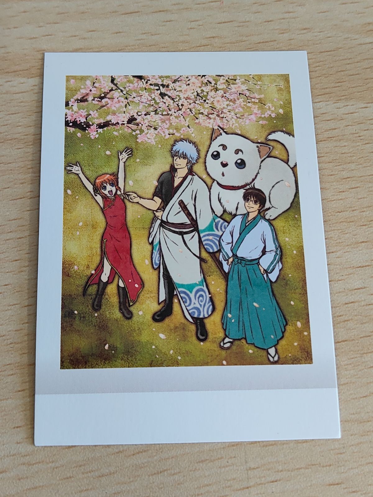 銀魂 ぱしゃこれ 其ノ参 カード 6 桜音 銀時 新八 神楽 定春