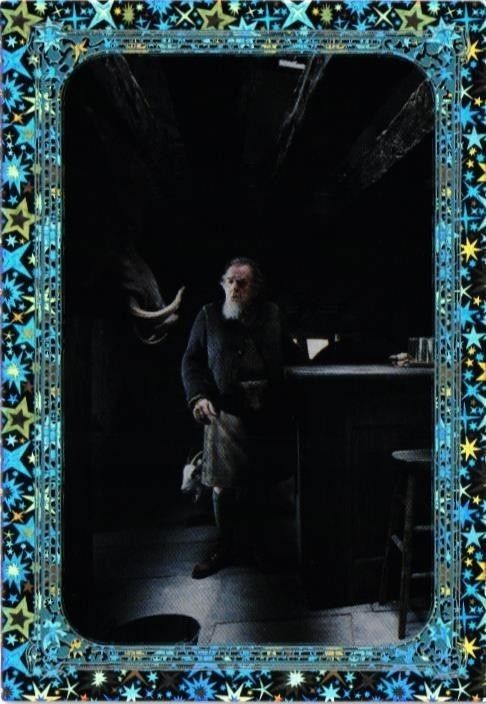 Holo Harry Potter Evolution PANINI Card Mint