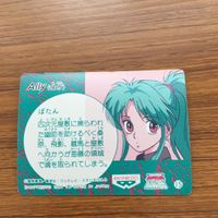 バンダイ バンプレカード 幽遊白書 ぼたん 雪村 子 45 サムネイル 2