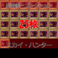 スカイ・ハンター 25枚 型番統一 コレクション ノーマル 遊戯王 まとめ 2期 初期