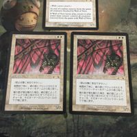 MTG マジックザギャザリング カード まとめ EXO 網の壁/Wall of Nets 3枚セット 18 サムネイル 2