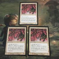MTG マジックザギャザリング カード まとめ EXO 網の壁/Wall of Nets 3枚セット 18 サムネイル 1