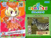 けものフレンズ けもフレ カード SR まとめ オオセンザンコウ スナネコ マレーバク トキ サムネイル 8