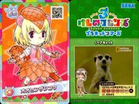けものフレンズ けもフレ カード SR まとめ オオセンザンコウ スナネコ マレーバク トキ サムネイル 7