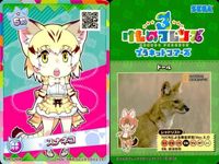 けものフレンズ けもフレ カード SR まとめ オオセンザンコウ スナネコ マレーバク トキ サムネイル 6