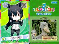 けものフレンズ けもフレ カード SR まとめ オオセンザンコウ スナネコ マレーバク トキ サムネイル 3