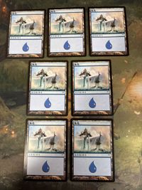 希少 簡体字版 神河物語 島/Island 7 枚 基本土地 型番統ー まとめ MTG 人気絵柄 多言語 中国語 CHK