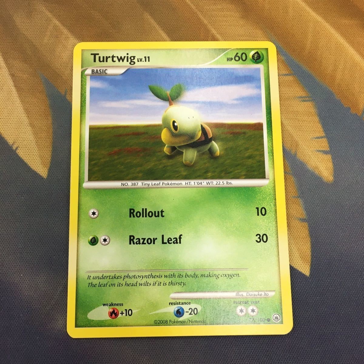 ポケモンカード 旧裏面 まとめ ナエトル 海外 英語 23