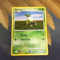ポケモンカード 旧裏面 まとめ ナエトル 海外 英語 23 サムネイル 1