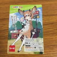 カード トレカ まとめ アフリカオオコナハズク ワシミミズク イリエワニ ダイアウルフ なか卯 44 サムネイル 5