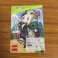 カード トレカ まとめ アフリカオオコナハズク ワシミミズク イリエワニ ダイアウルフ なか卯 44 サムネイル 7