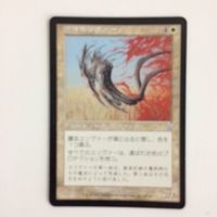 MTG 護法スリヴァー マジックザギャザリング まとめ カード トレーディングカード サムネイル 2