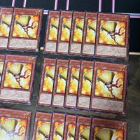 ブルーミー 40枚 型番統一 遊戯王 まとめ ノーマル INFO サムネイル 3