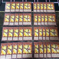ブルーミー 40枚 型番統一 遊戯王 まとめ ノーマル INFO