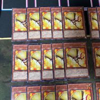 ブルーミー 40枚 型番統一 遊戯王 まとめ ノーマル INFO サムネイル 2