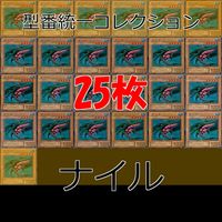 Yu-Gi-Oh Nile 25 Cards Collection Common Lot Early 2nd Gen
