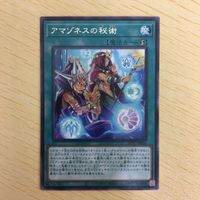 遊戯王 字レア カード トレーディングカード アマゾネスの秘術 まとめ サムネイル 7
