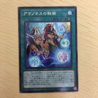 遊戯王 字レア カード トレーディングカード アマゾネスの秘術 まとめ サムネイル 5
